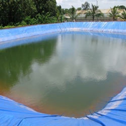 Agricultural Application